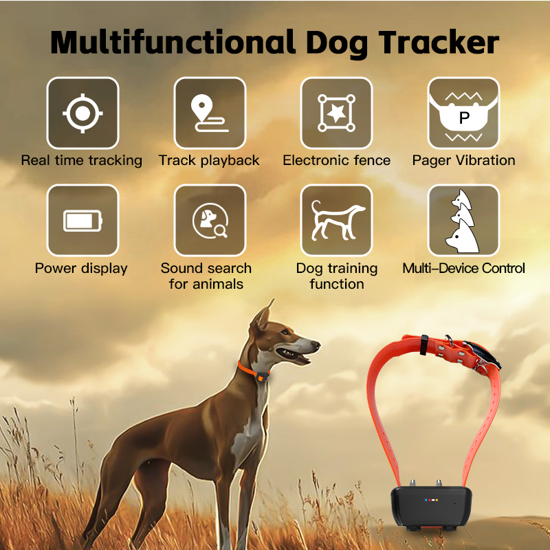 Special WiFi Waterproof GPS Do - Smart Home For Pc 评论和价格