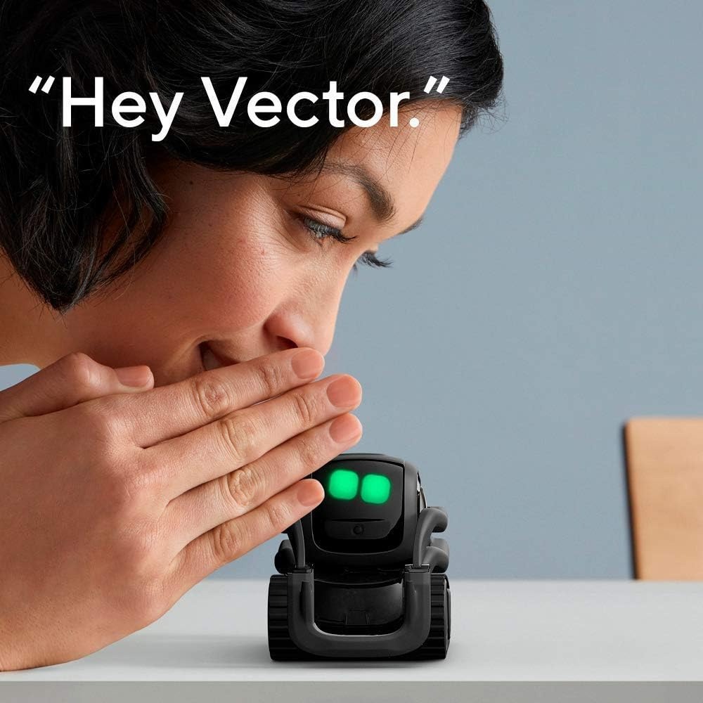 AI ChatGPT 2.0 Connected Robot - Smart Home Remote Control 评论和价格